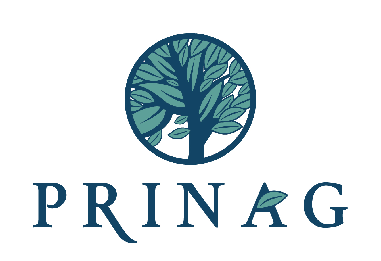 Λογότυπο Spinanga Casino